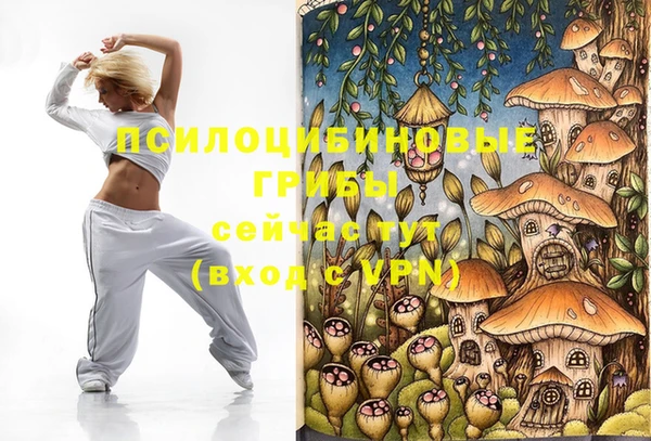 метадон Козловка