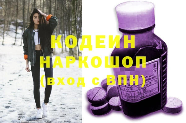 сатива Кодинск