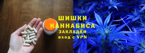 сатива Кодинск